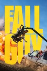 Nonton Film The Fall Guy (2024)